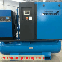 Máy Nén Khí Trục Vít Tổ Hợp Pegasus TMCP30A