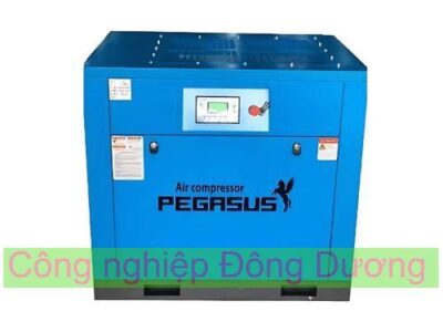 Máy Nén Khí Trục Vít Pegasus TMBT175A